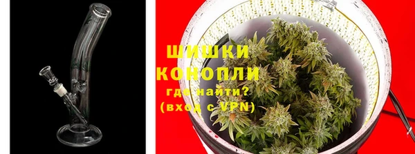 дмт Гусев