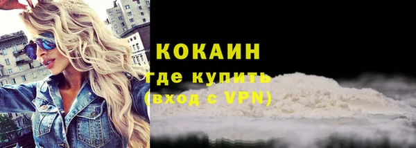 дмт Гусев