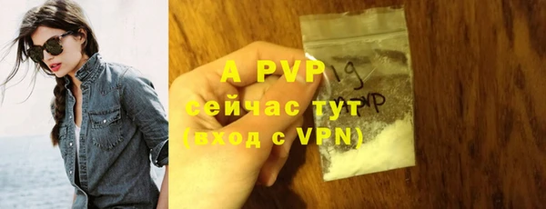 дмт Гусев