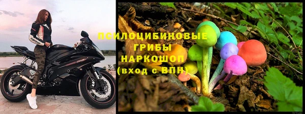 дмт Гусев