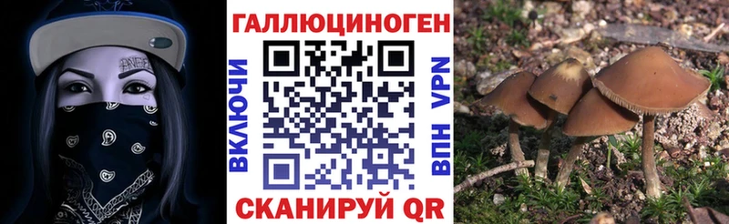 купить   Сургут  Галлюциногенные грибы MAGIC MUSHROOMS 