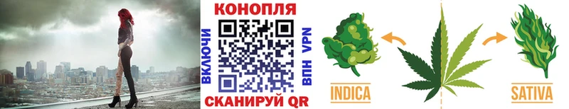 Шишки марихуана индика  наркошоп  hydra как войти  Сургут 